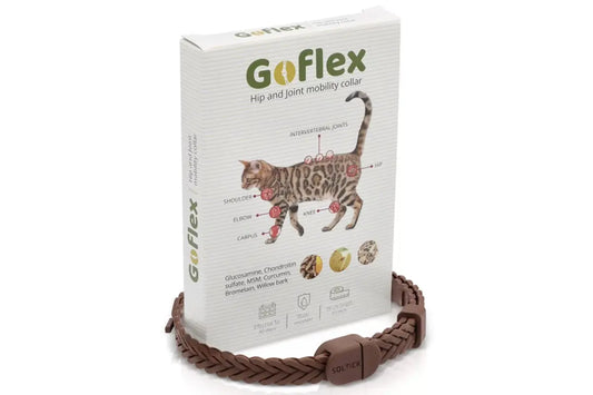 SOLANO GOFLEX klubų ir sąnarių mobilumo antkaklis katėms