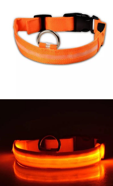 Pakraunamas USB šviečiantis orandžinis nailoninis antkaklis šunims
