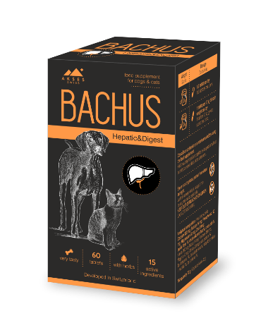 BACHUS Hepatic and Digest papildas šunims N60